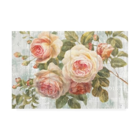 Trademark Fine Art Danhui Nai 'Vintage Roses On Driftwood' Canvas